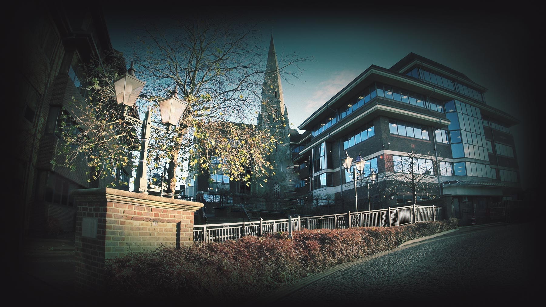 web-banner2